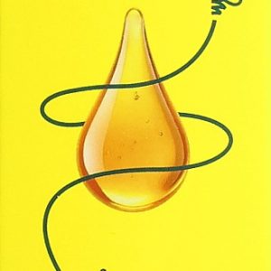 HEYBEE Propolis Tropfen Tropffl 50 ml