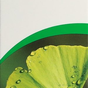 VOGEL Ginkgoforce Tropfen Fl 100 ml